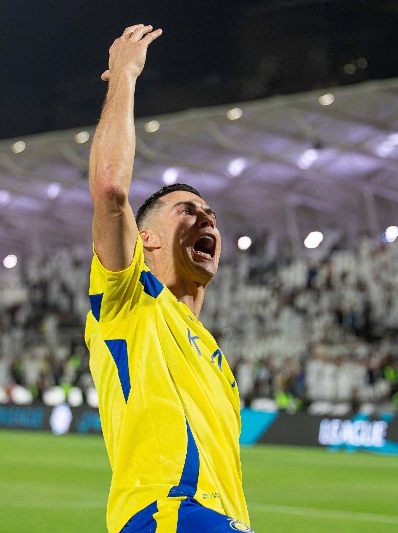 要休战一段 要休战一段