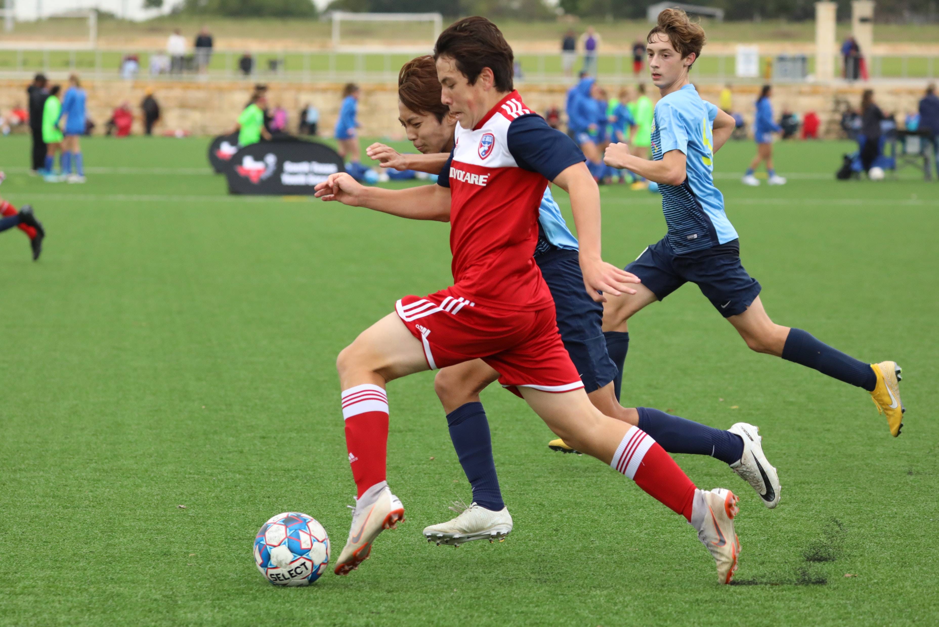 仅反映出他 仅反映出他